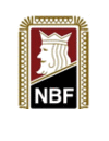 Mixkvalifisering til EM nasjonslag