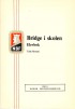 Bridge i skolen